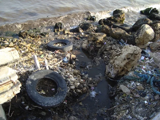 Algérie – 45 délits d’atteinte à l’environnement enregistrés à El Tarf en 2012